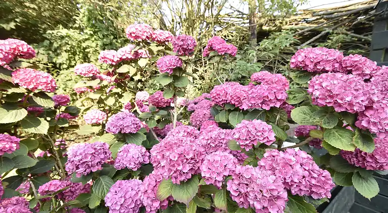 Vakantiehuis in 't Zand