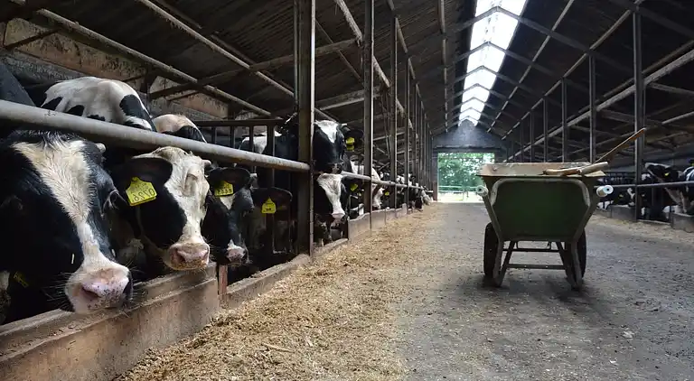 Gårdhus i Geesteren