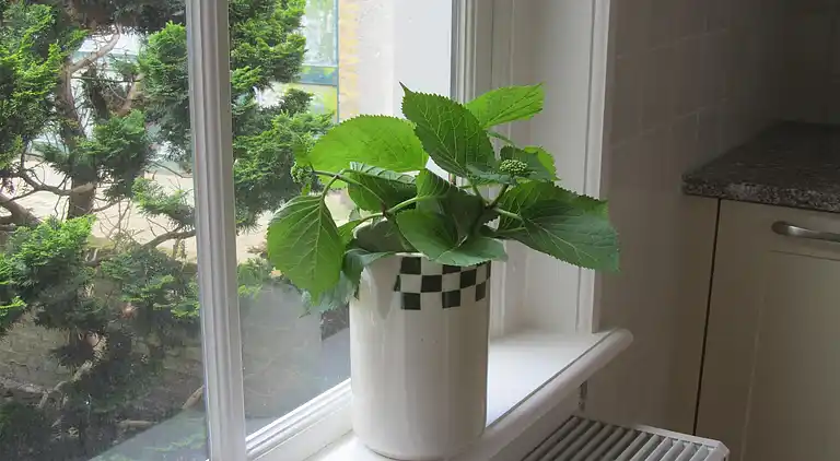 Holiday home in Harlingen