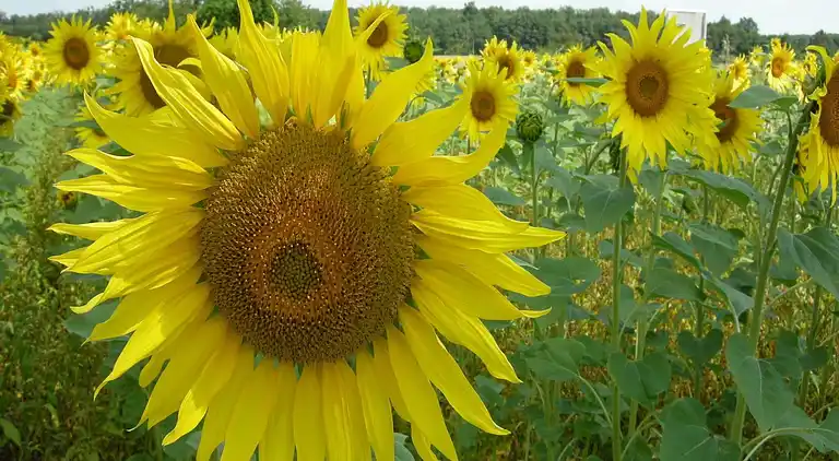 Holiday home in Roztoky u Jilemnice