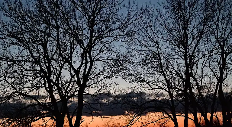 Apartment in Viecheln