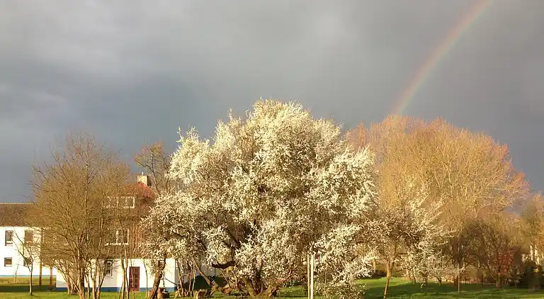 Ferienwohnung in Viecheln