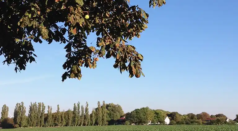 Appartement in Viecheln