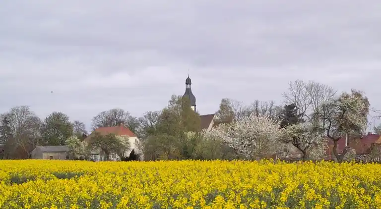 Ferienwohnung in Viecheln
