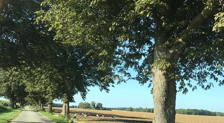 Apartment in Viecheln