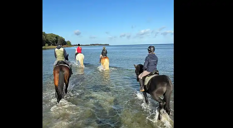 Ferielejlighed i Hohenkirchen