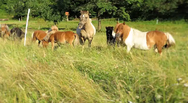Ferielejlighed i Hüddingen