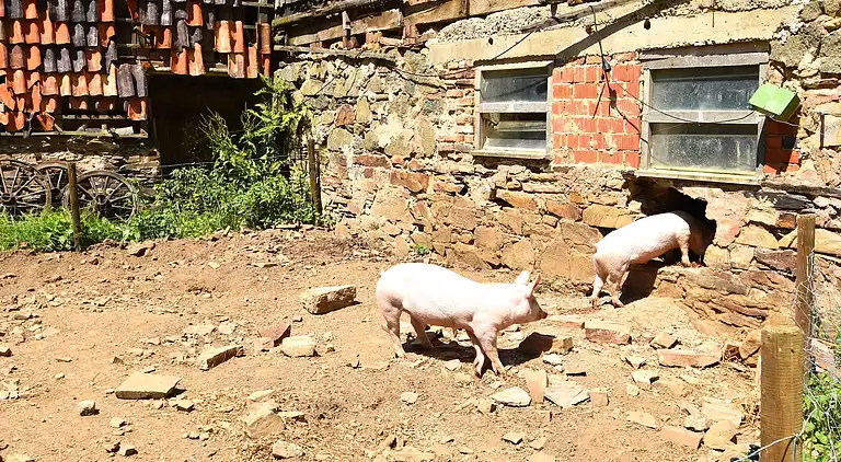 Ferielejlighed i Hüddingen