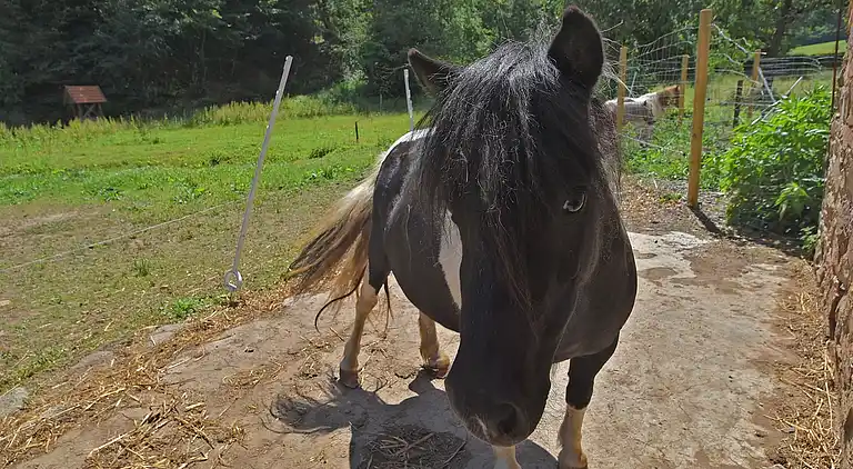 Ferielejlighed i Hüddingen