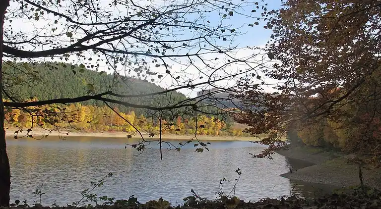 Sommerhus i Feriendorf Hennesee