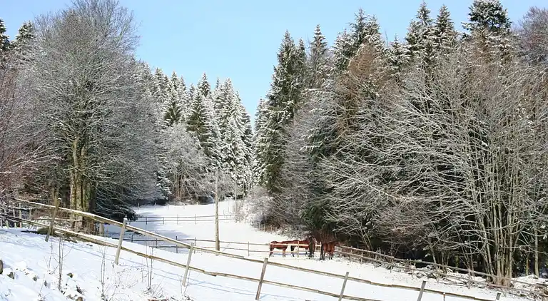 Ferienwohnung in Urberg