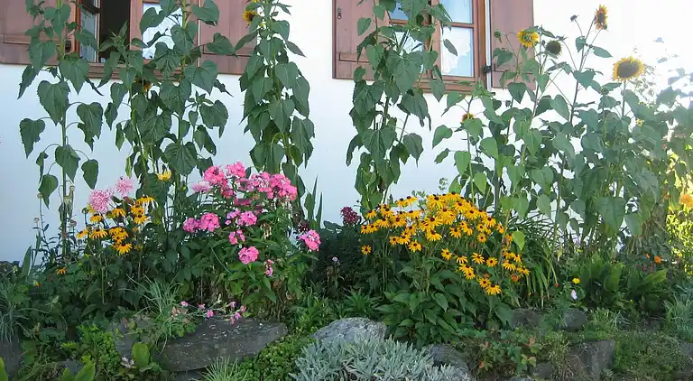 Lägenhet i Ingenried