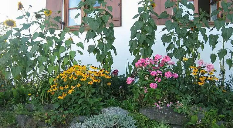 Ferielejlighed i Ingenried