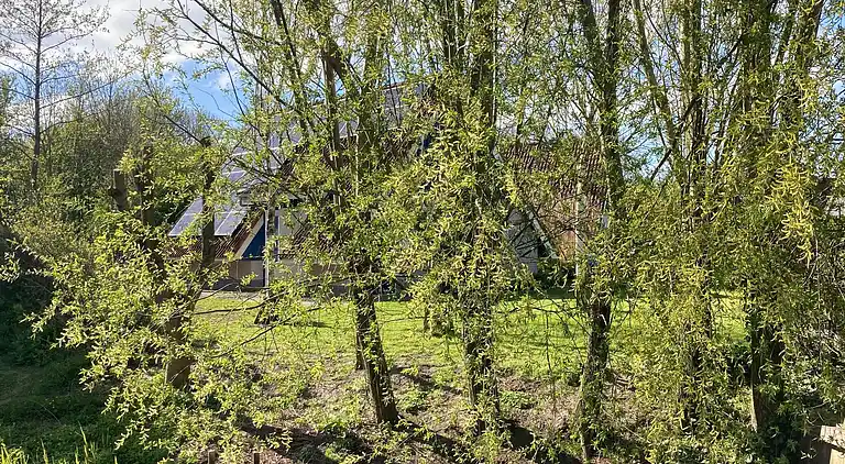 Schönes 6 Pers Grachthaus am Nationalpark Lauwersmeer