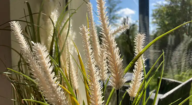 Schönes 6 Pers Grachthaus am Nationalpark Lauwersmeer