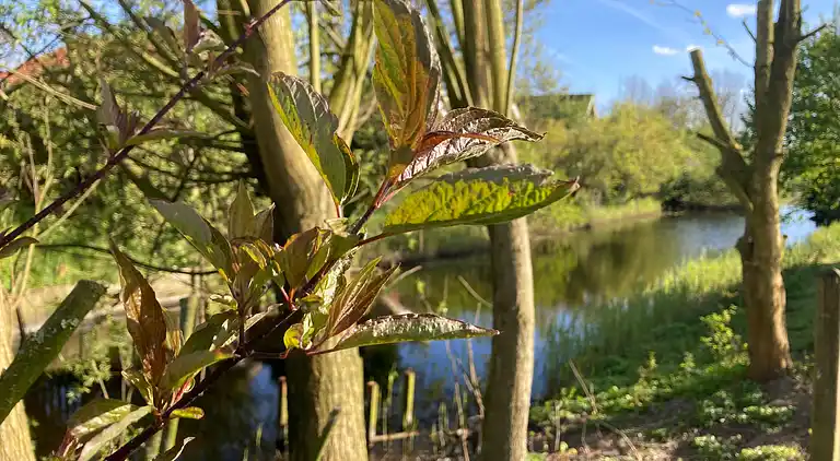 Schönes 6 Pers Grachthaus am Nationalpark Lauwersmeer