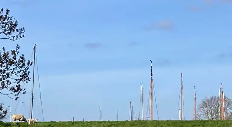 Schönes 6 Pers Grachthaus am Nationalpark Lauwersmeer