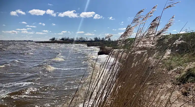 Schönes 6 Pers Grachthaus am Nationalpark Lauwersmeer