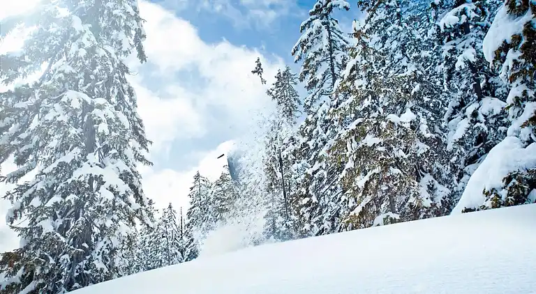 Apartment in Rosental