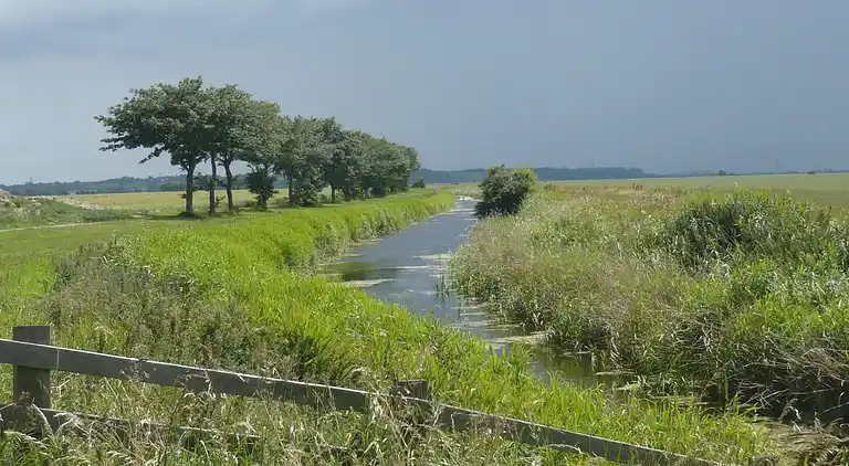 Hytte i Saint Mary in the Marsh