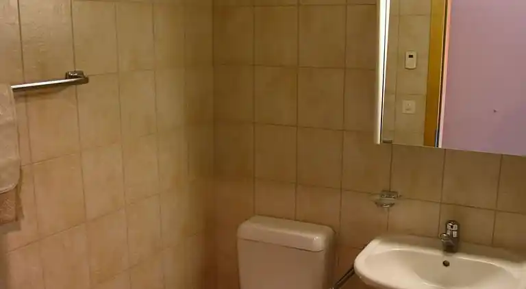 Ferienwohnung in Nendaz