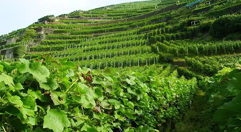 Ferielejlighed i Hoxel