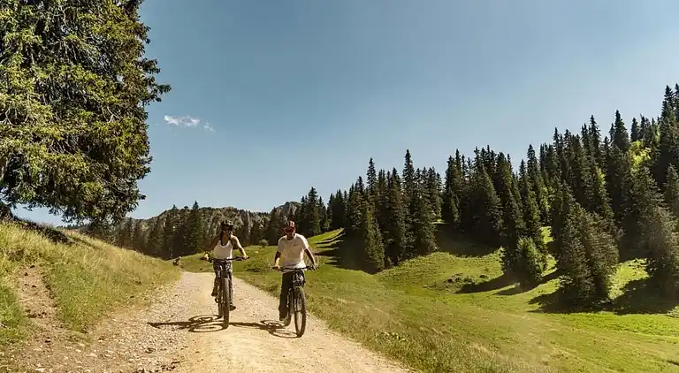 Apartment in Châtel