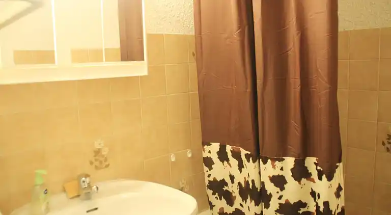 Apartment in Châtel