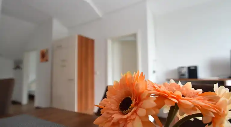 Ferielejlighed i Willingen (Upland)