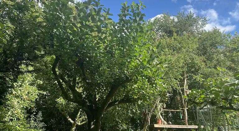 Velkommen til multihuset på landet