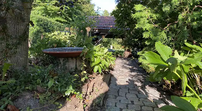 Velkommen til multihuset på landet