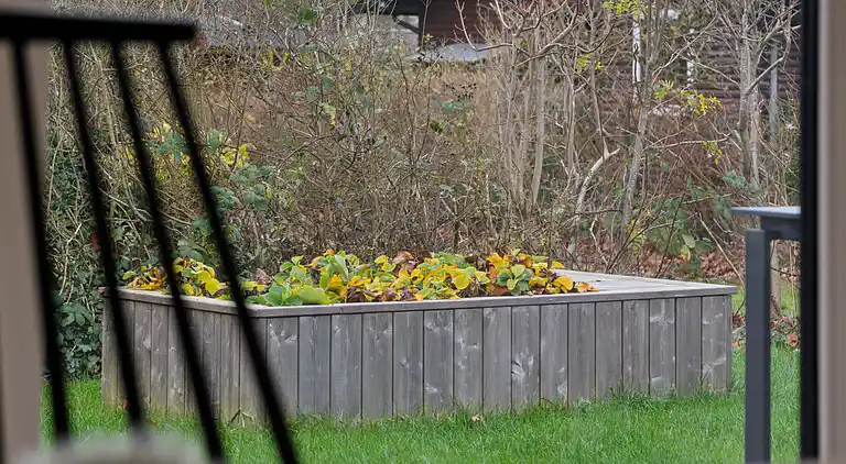 Naturskønt sommerhus med plads til hele familien