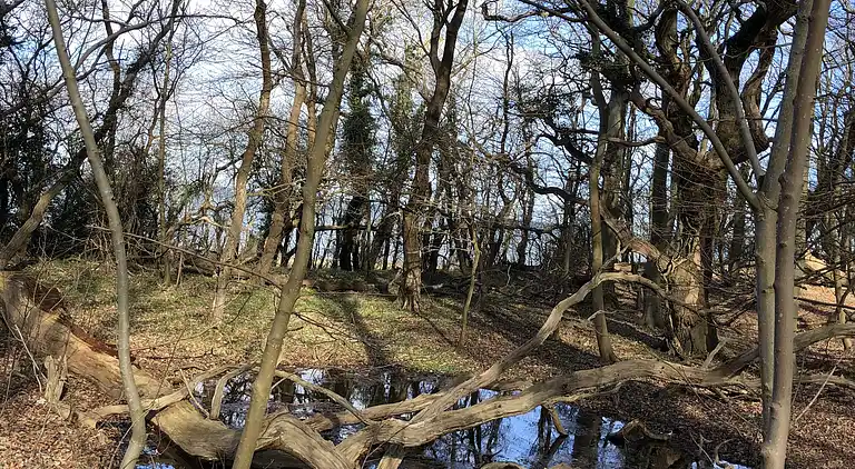Ferienhaus mit Blick auf Meer und Hafen