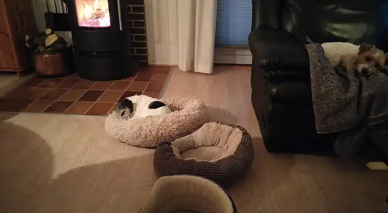 Hyggeligt sommerhus ved Saltum