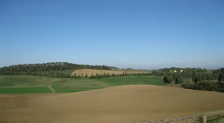 Farm house in Collesalvetti