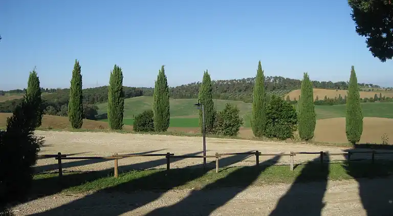 Farm house in Collesalvetti