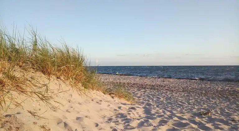 Holiday home in Mechelsdorf