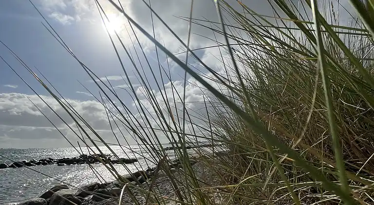 Penthouse i Skagen med privat solterrasse