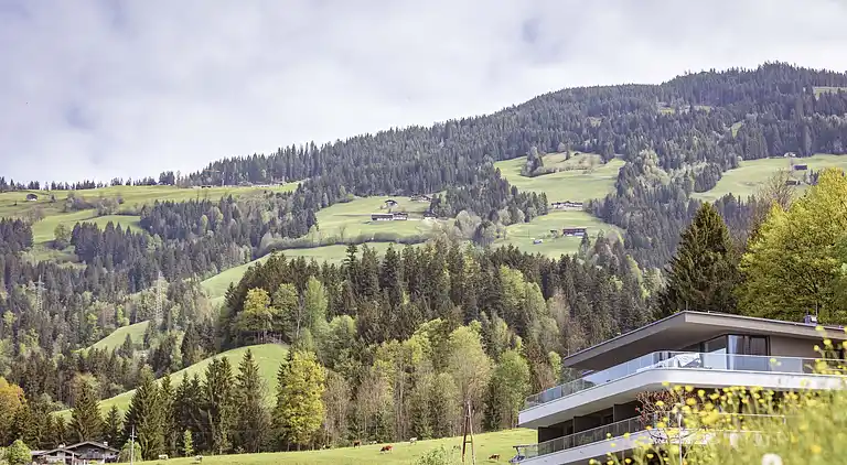 Apartment in Lindrain