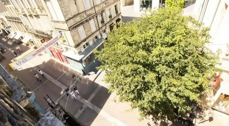 Apartment in Downtown