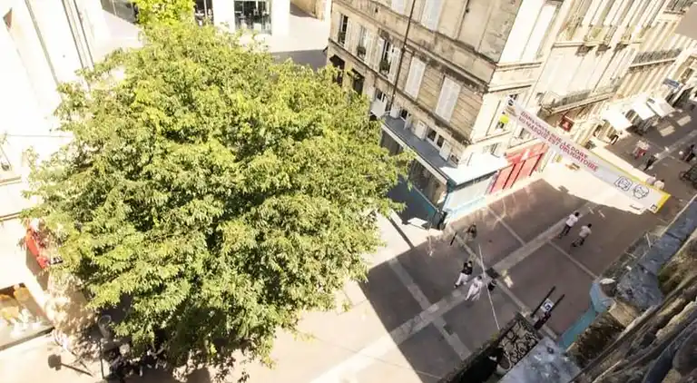 Apartment in Downtown