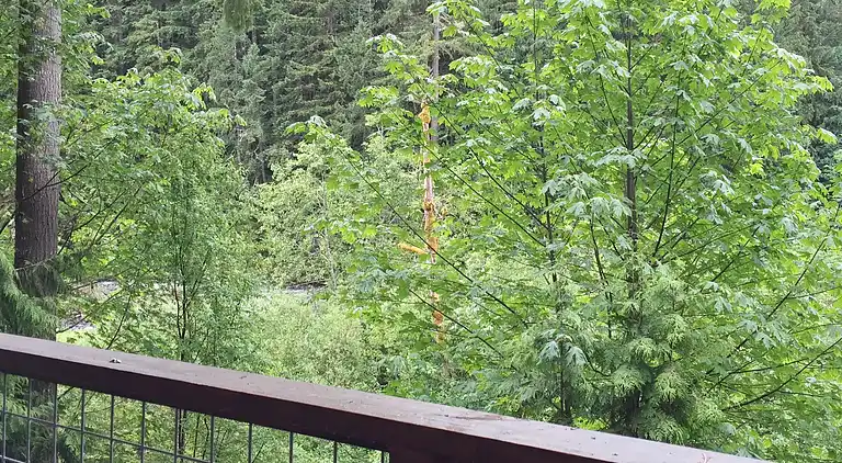 Mt Baker Rim Cabin 70 Ein haustierfreundliches Ferienhaus