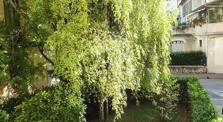 Ferienwohnung in Mouxy