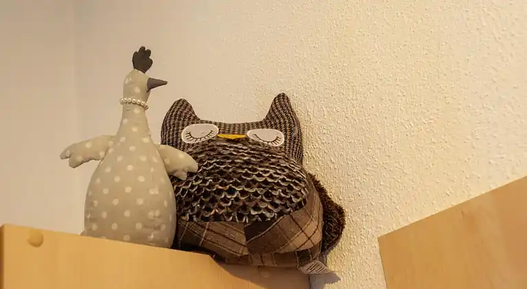 Ferienhaus in Schwendau