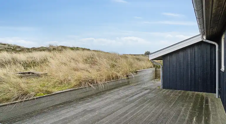 Oasi vicino a dune, spiaggia e attività