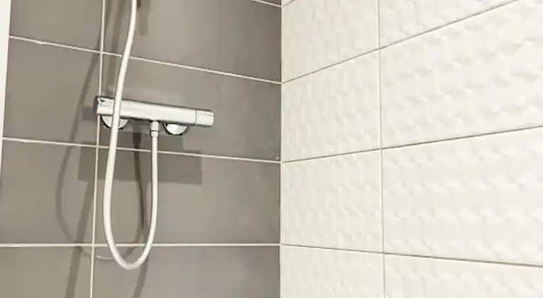 Apartment in Downtown