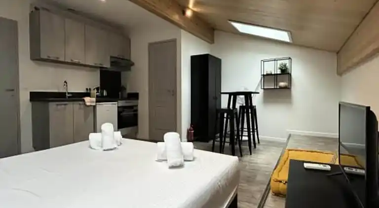 Apartment in Downtown