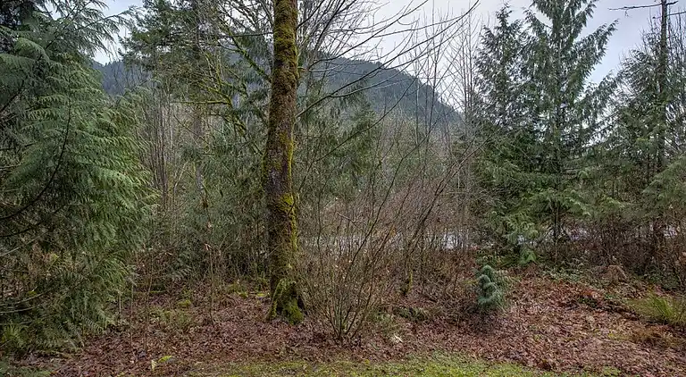 Glacier Springs Cabin – Ein elegantes Landhaus