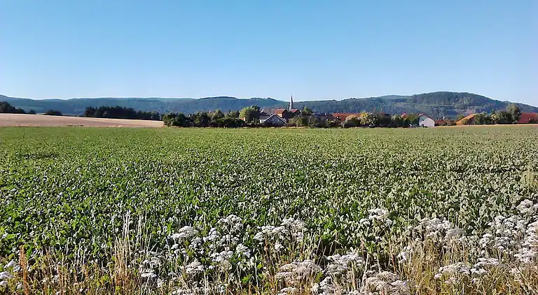 Monteurwohnung Langelsheim 6 Personen