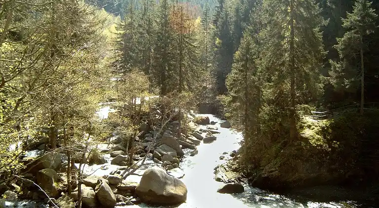 Monteurwohnung Langelsheim 6 Personen